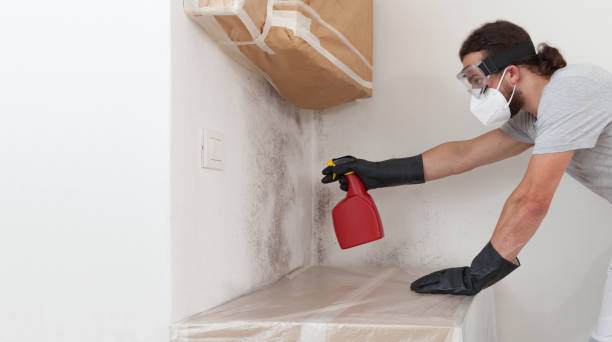 Professional Mold Cleanup technician working in Monmouth Junction, NJ