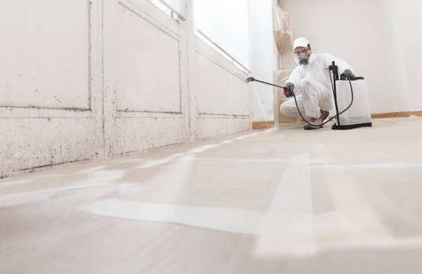 24/7 Emergency Mold Cleanup experts in Monmouth Junction, NJ