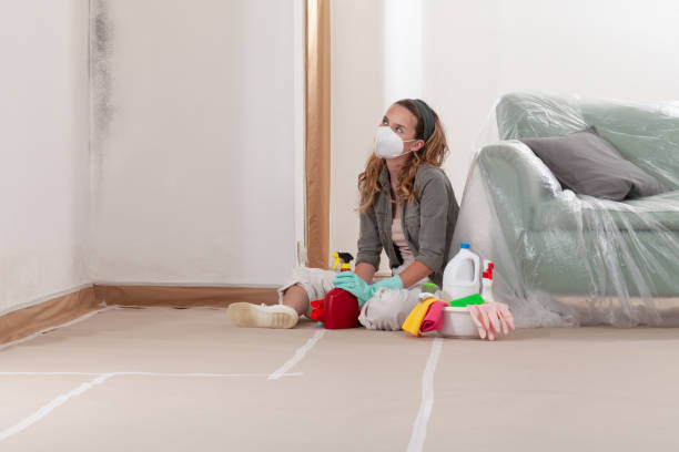 Reliable Mold Cleanup contractor in Monmouth Junction, NJ by Cheap Mold Removal